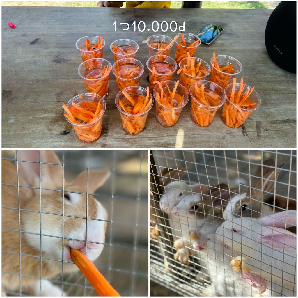 f:id:A-hanoi:20230517132234j:image f:id:A-hanoi:20230517132234j:image