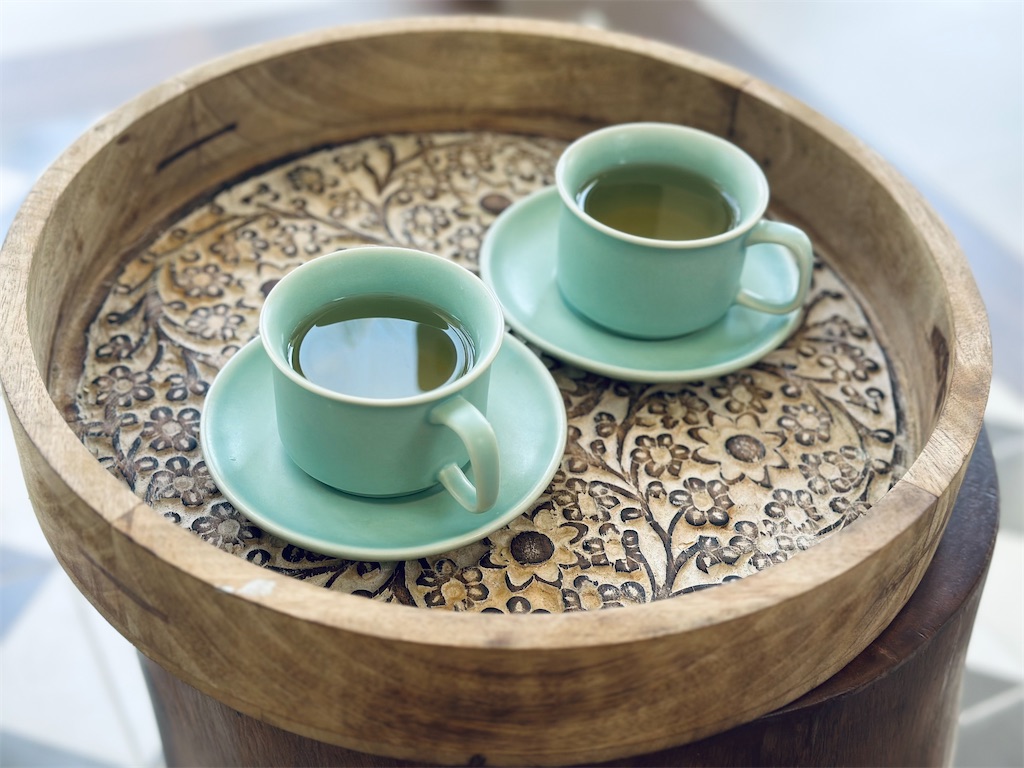 f:id:A-hanoi:20230519180208j:image