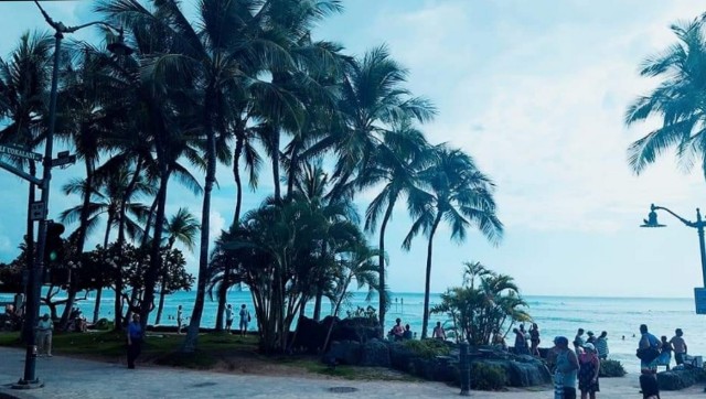 f:id:A-hanoi:20230519182414j:image