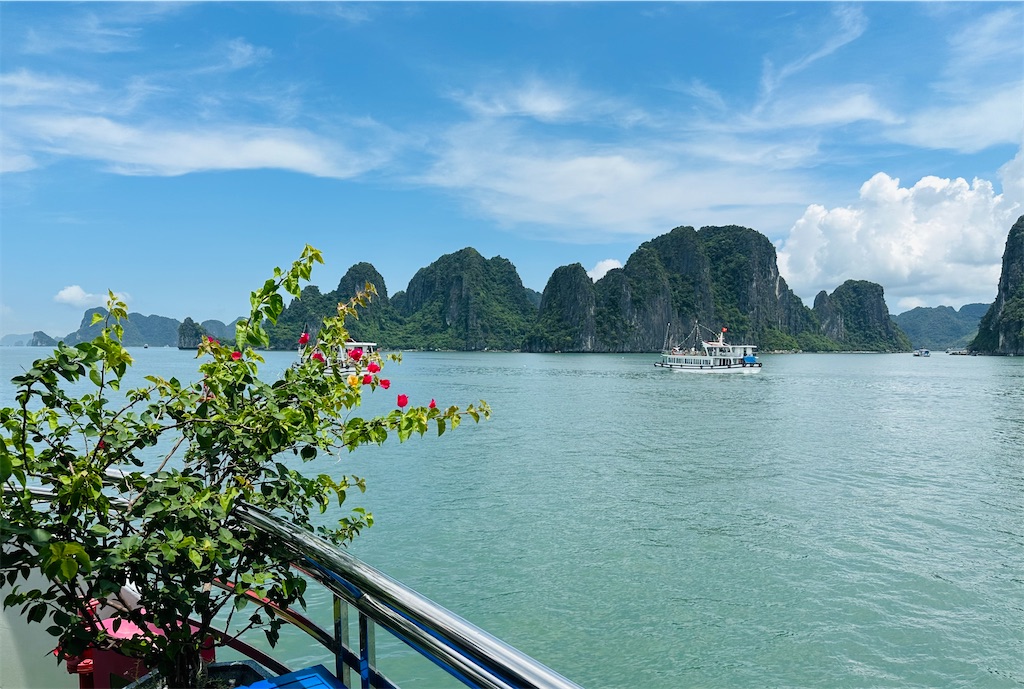 f:id:A-hanoi:20230604180426j:image