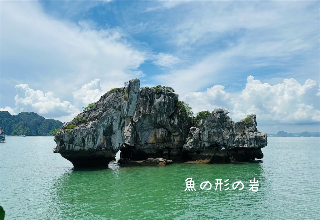 f:id:A-hanoi:20230604181250j:image