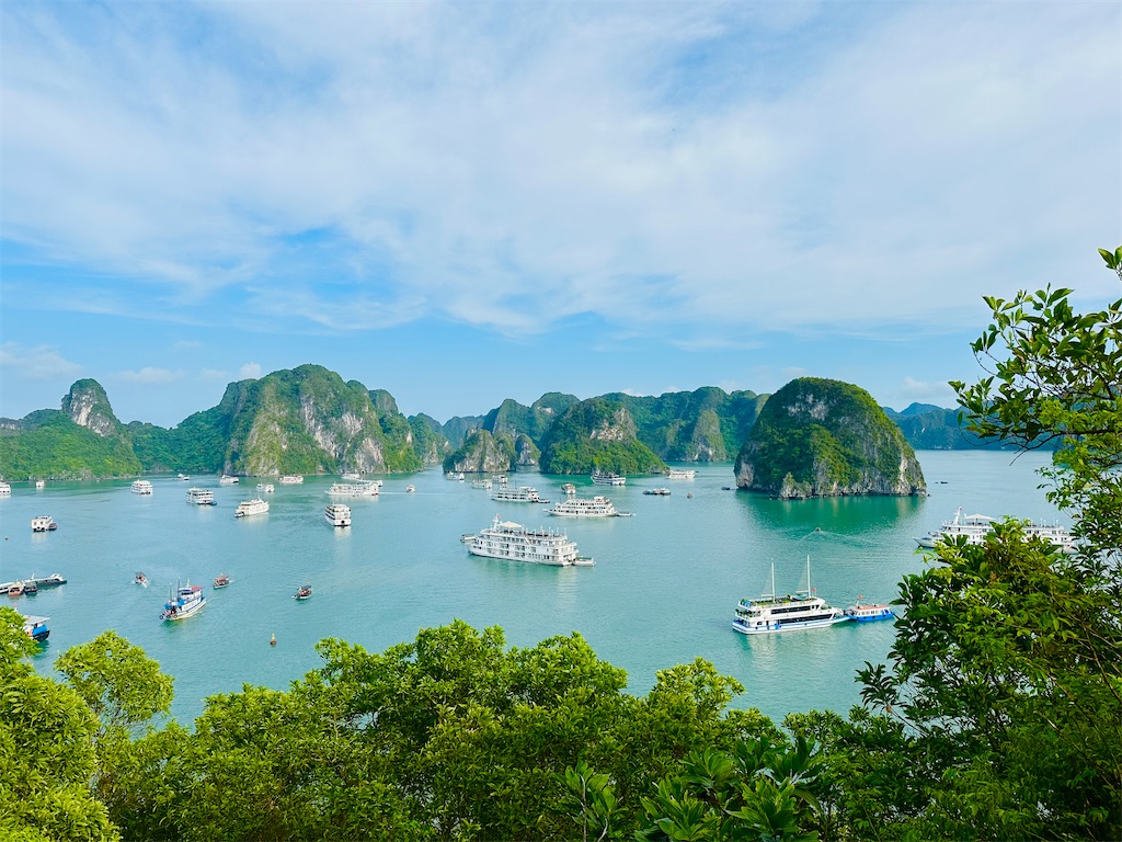 f:id:A-hanoi:20230607181901j:image