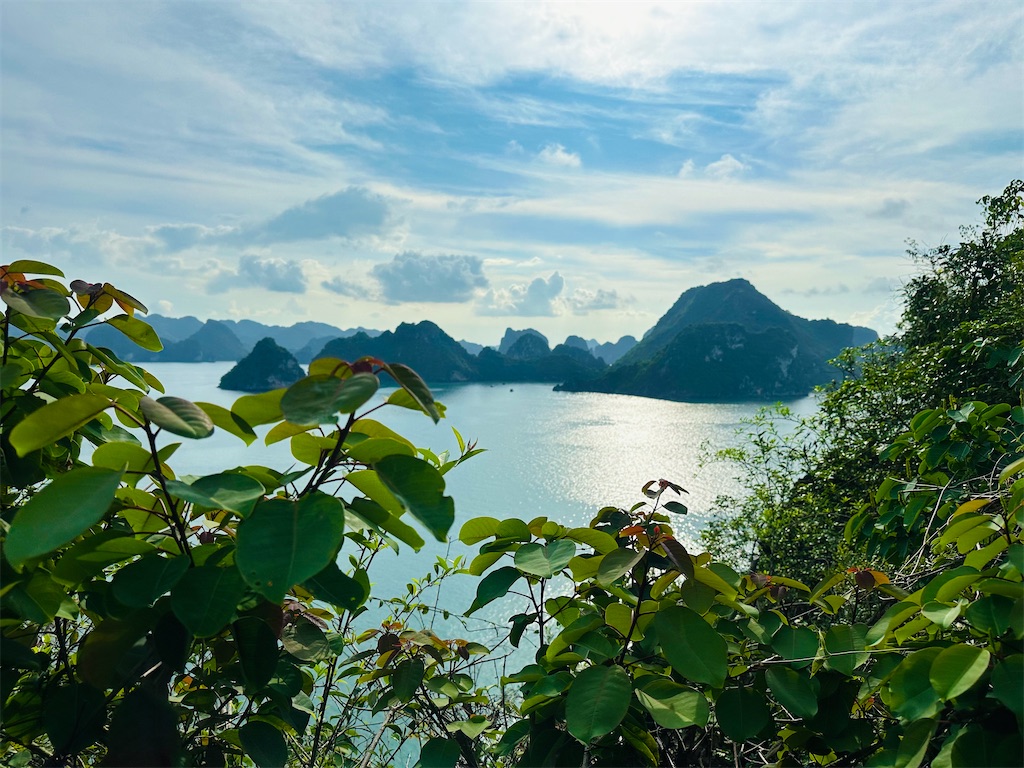 f:id:A-hanoi:20230607182019j:image