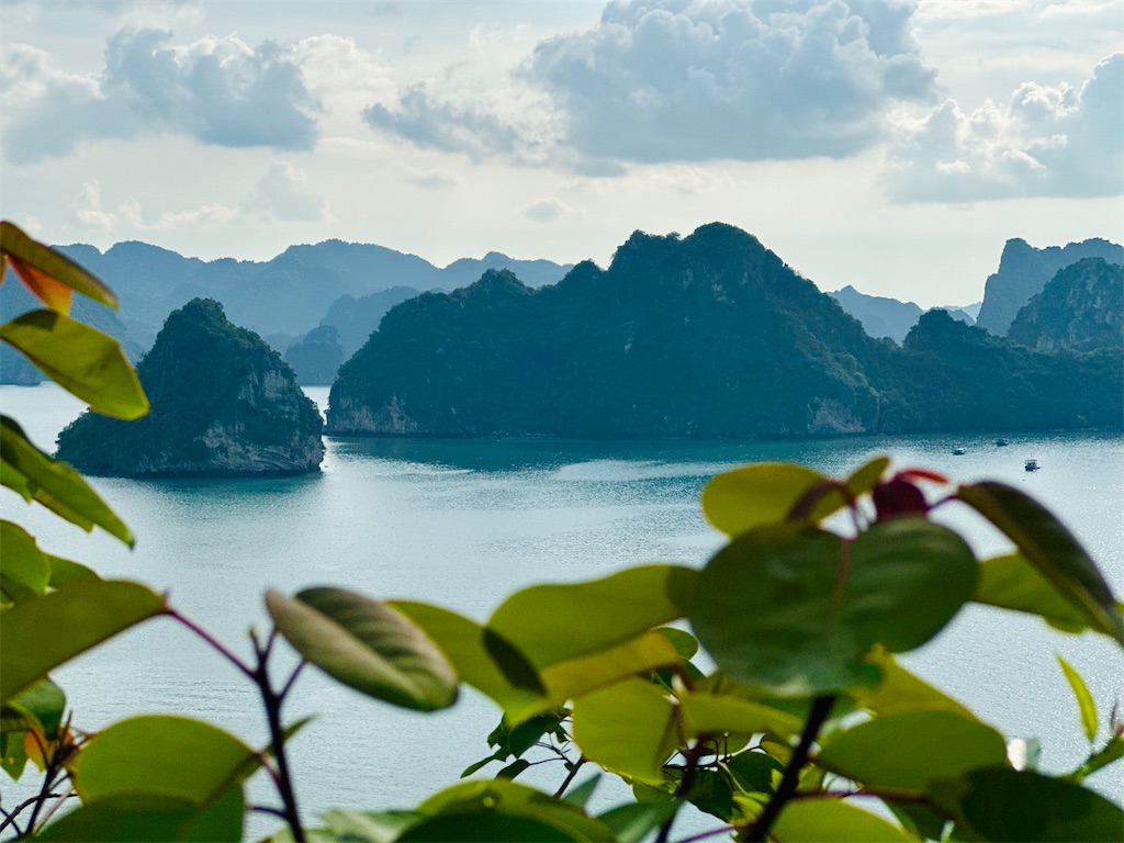 f:id:A-hanoi:20230607182335j:image