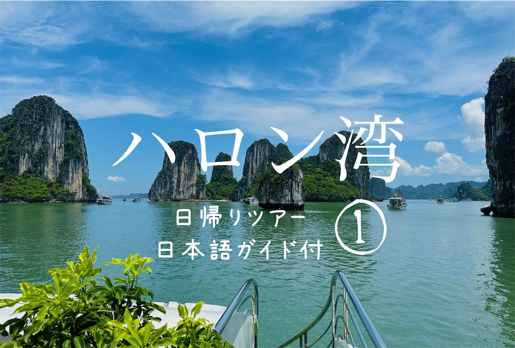 f:id:A-hanoi:20230607184429j:image