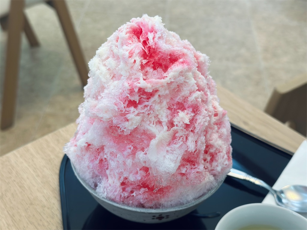 f:id:A-hanoi:20230611194407j:image