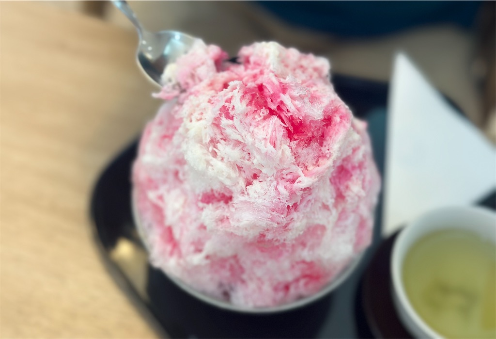 f:id:A-hanoi:20230611194413j:image