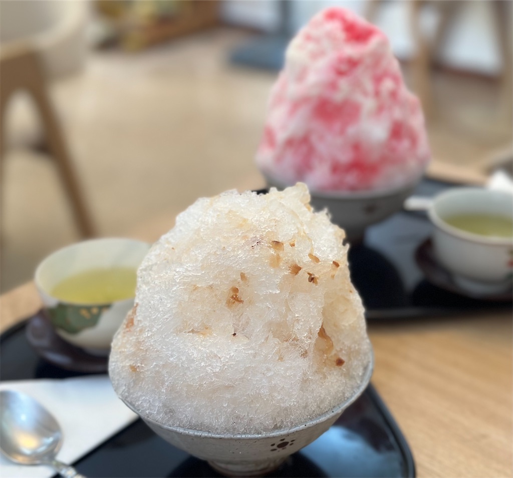 f:id:A-hanoi:20230611194852j:image