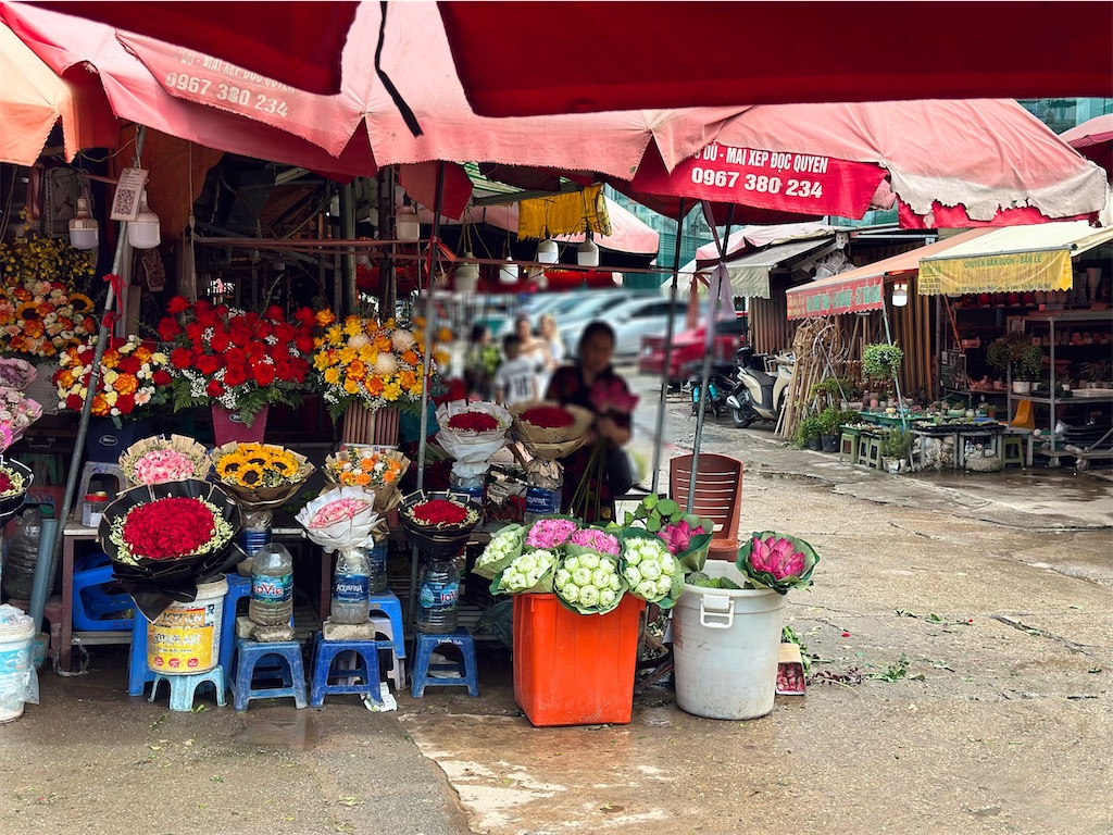 f:id:A-hanoi:20230623124317j:image