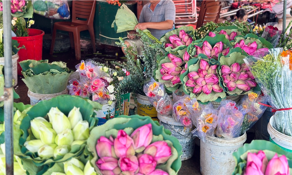 f:id:A-hanoi:20230623124544j:image