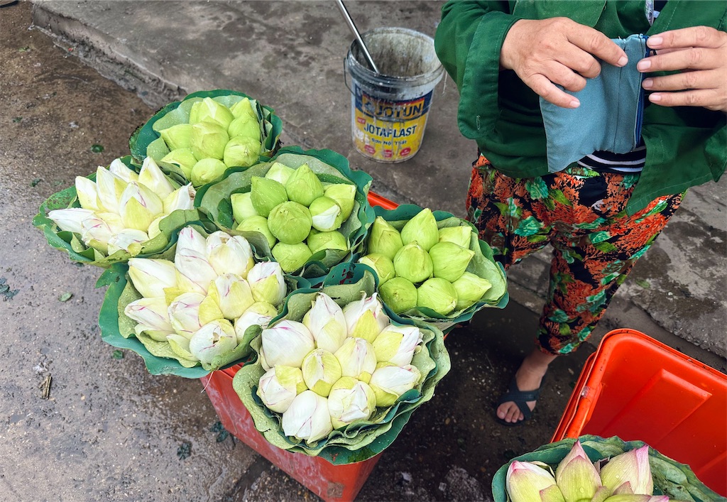 f:id:A-hanoi:20230623125543j:image