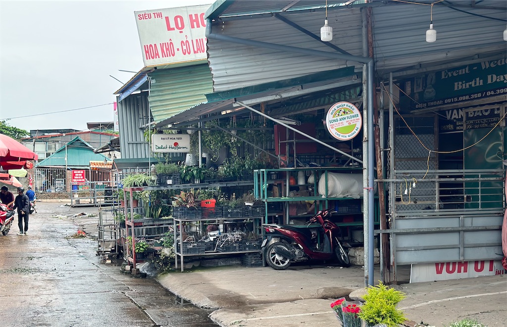 f:id:A-hanoi:20230623131605j:image