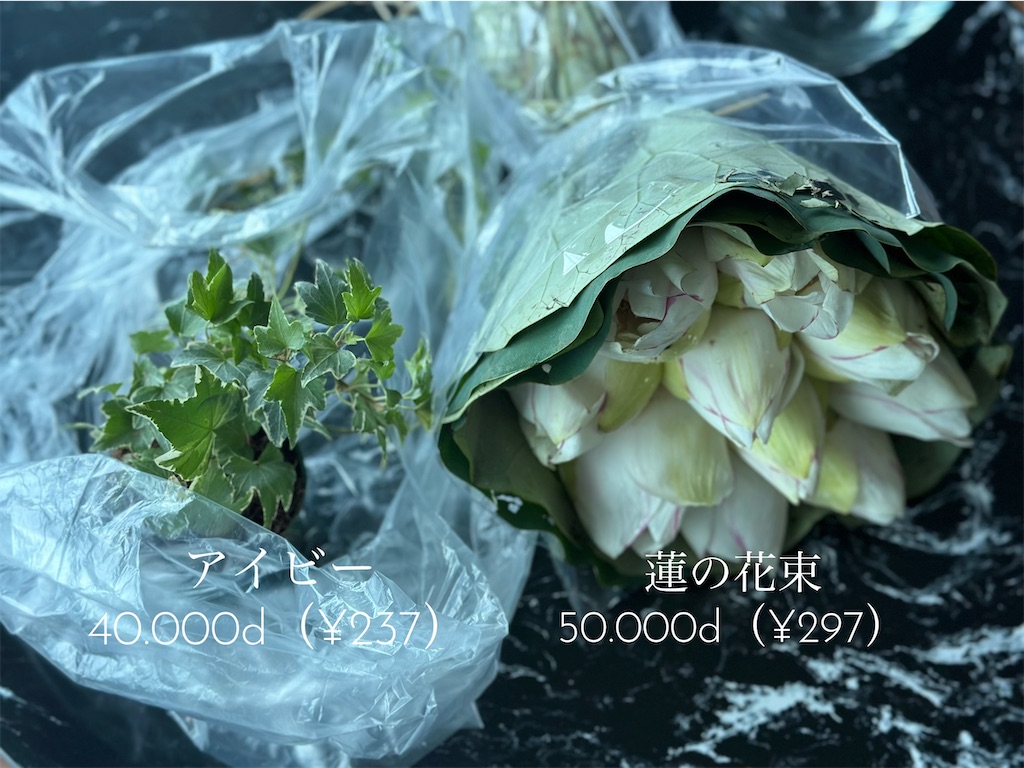 f:id:A-hanoi:20230623131728j:image