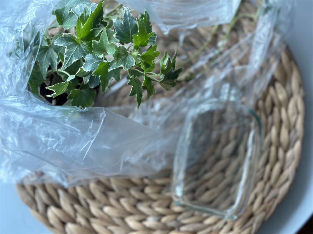 f:id:A-hanoi:20230623132748j:image
