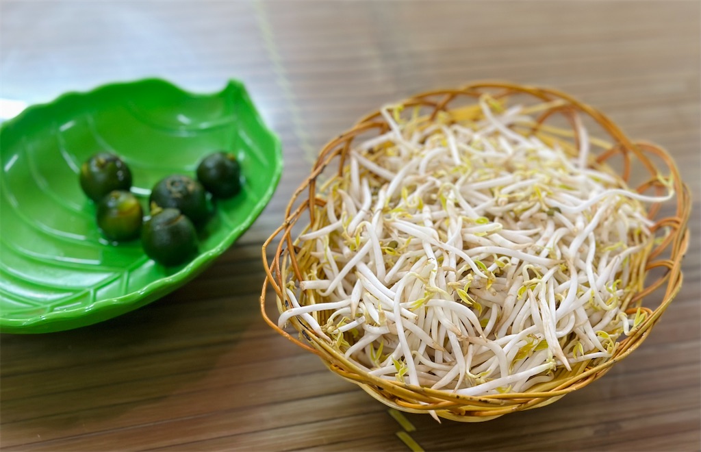 f:id:A-hanoi:20230626170502j:image