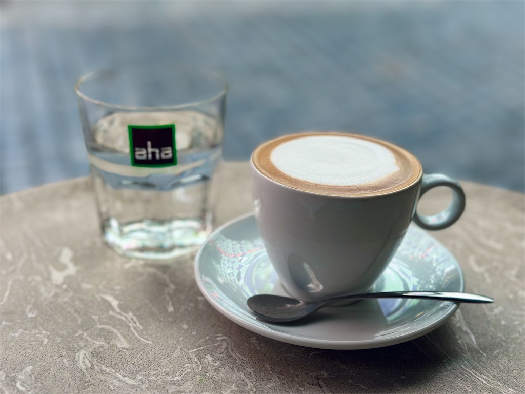 f:id:A-hanoi:20230628114554j:image
