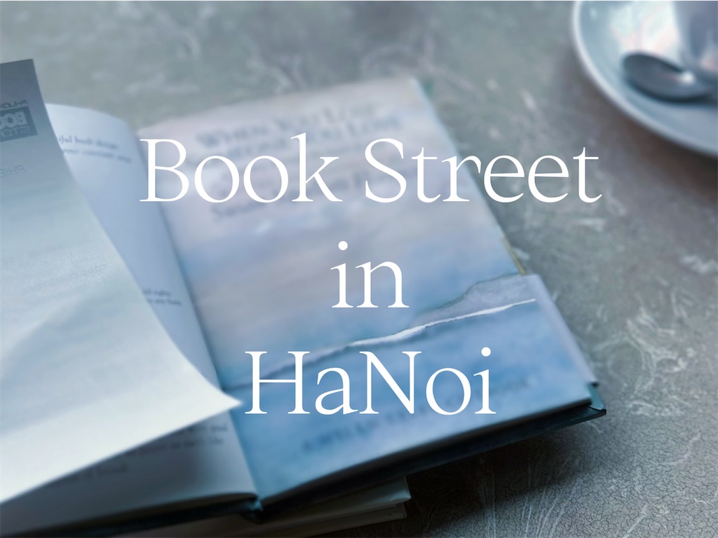 f:id:A-hanoi:20230628115500j:image