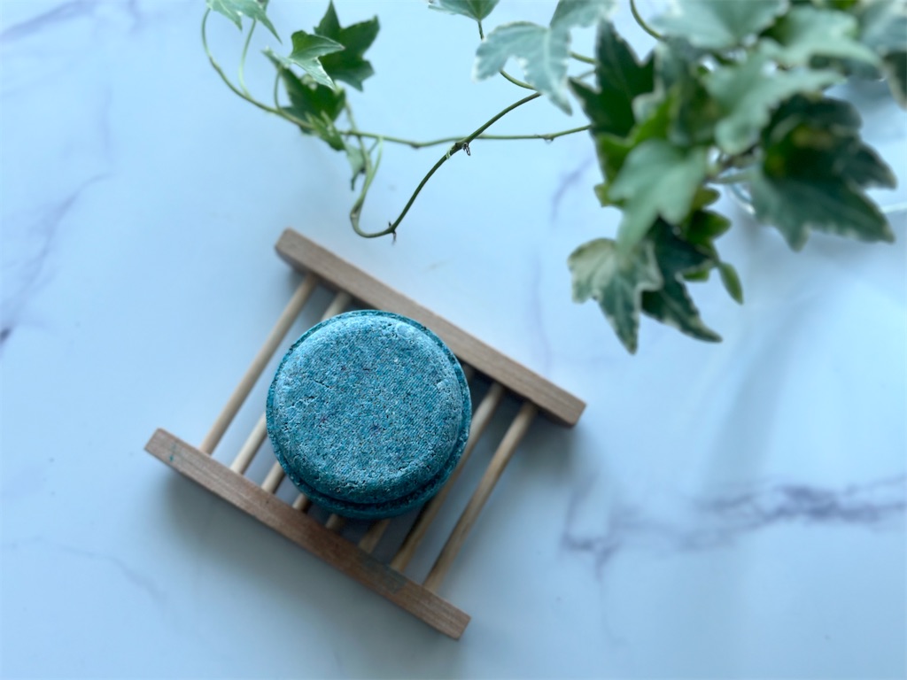 f:id:A-hanoi:20230704150903j:image