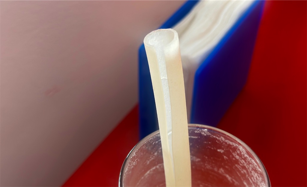 f:id:A-hanoi:20230713182648j:image f:id:A-hanoi:20230713182648j:image