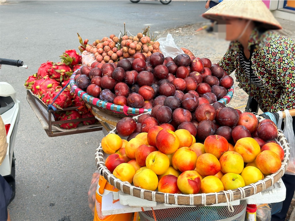 f:id:A-hanoi:20230718164055j:image