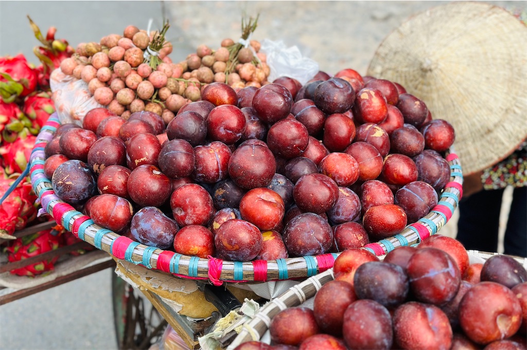 f:id:A-hanoi:20230718164202j:image