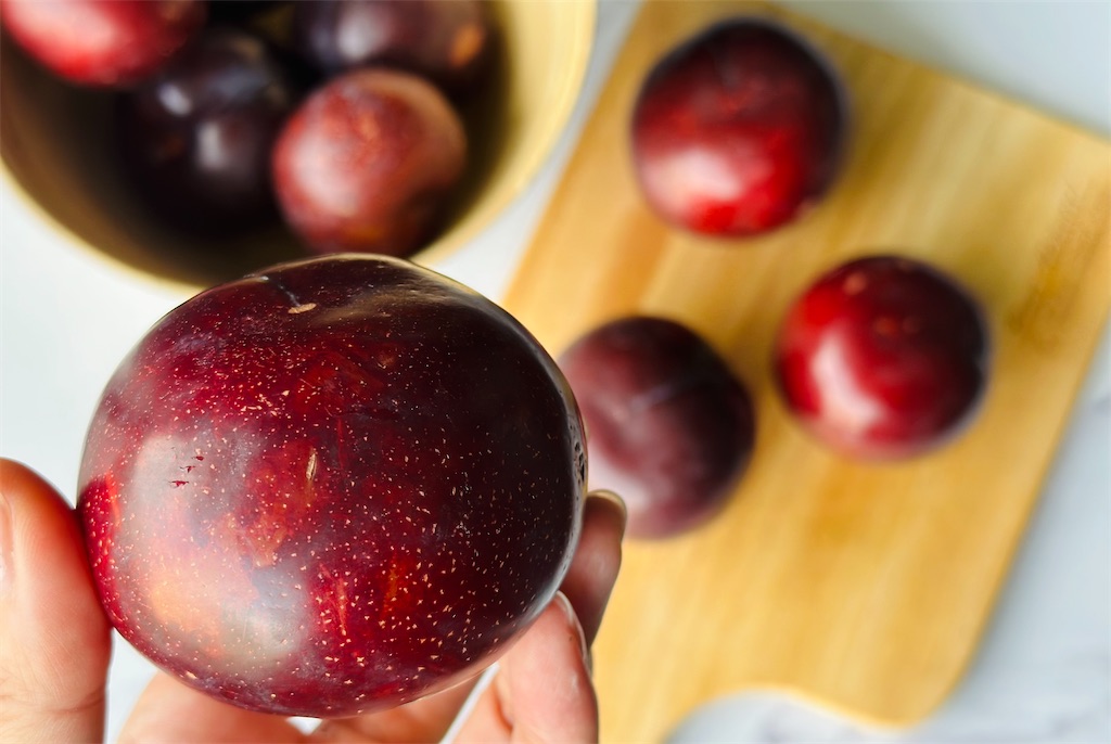 f:id:A-hanoi:20230718164936j:image