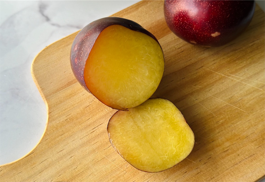 f:id:A-hanoi:20230718165115j:image