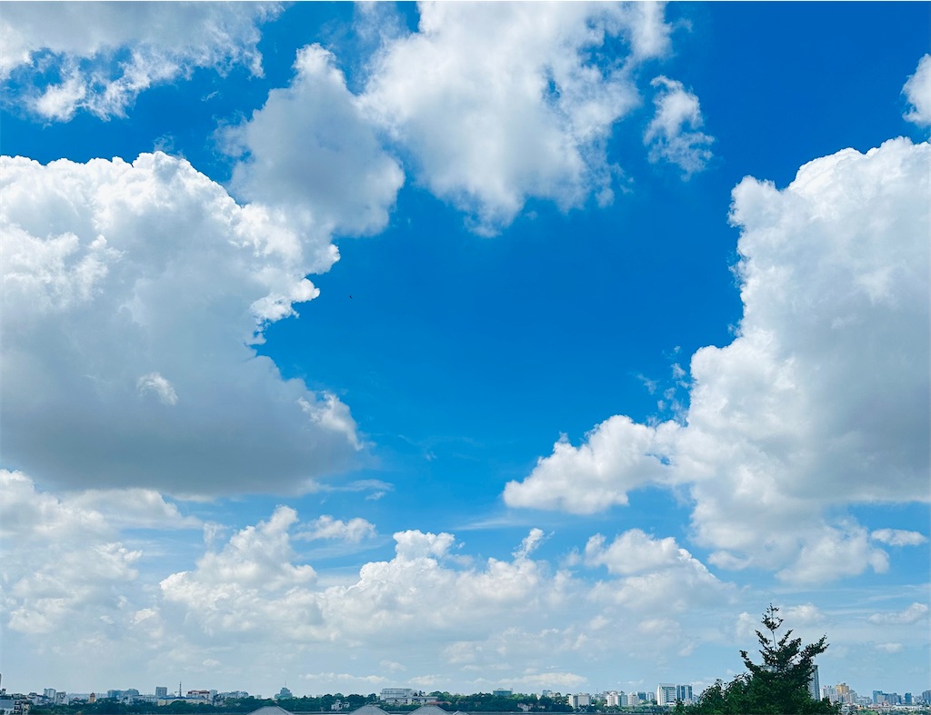 f:id:A-hanoi:20230725140030j:image