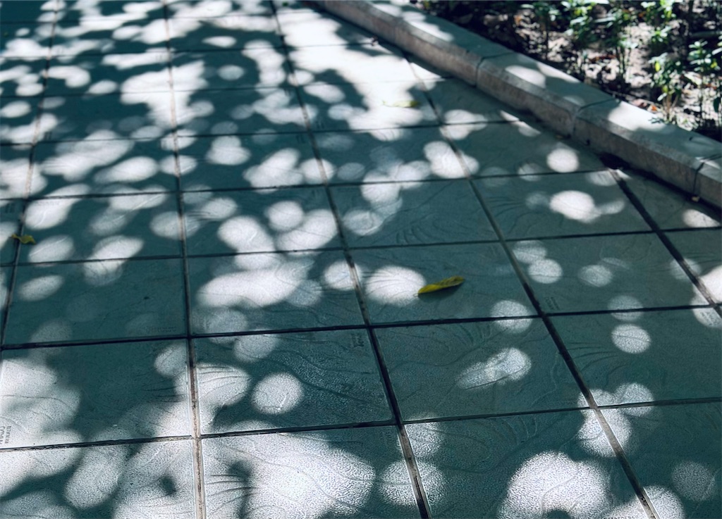 f:id:A-hanoi:20230725140137j:image