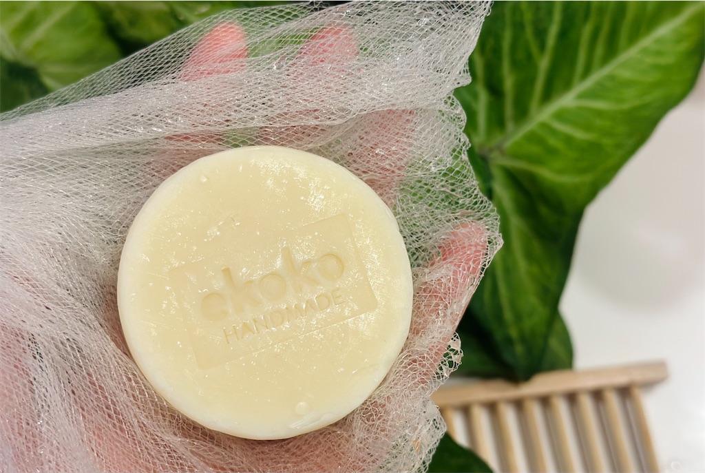 f:id:A-hanoi:20230728165823j:image f:id:A-hanoi:20230728165823j:image