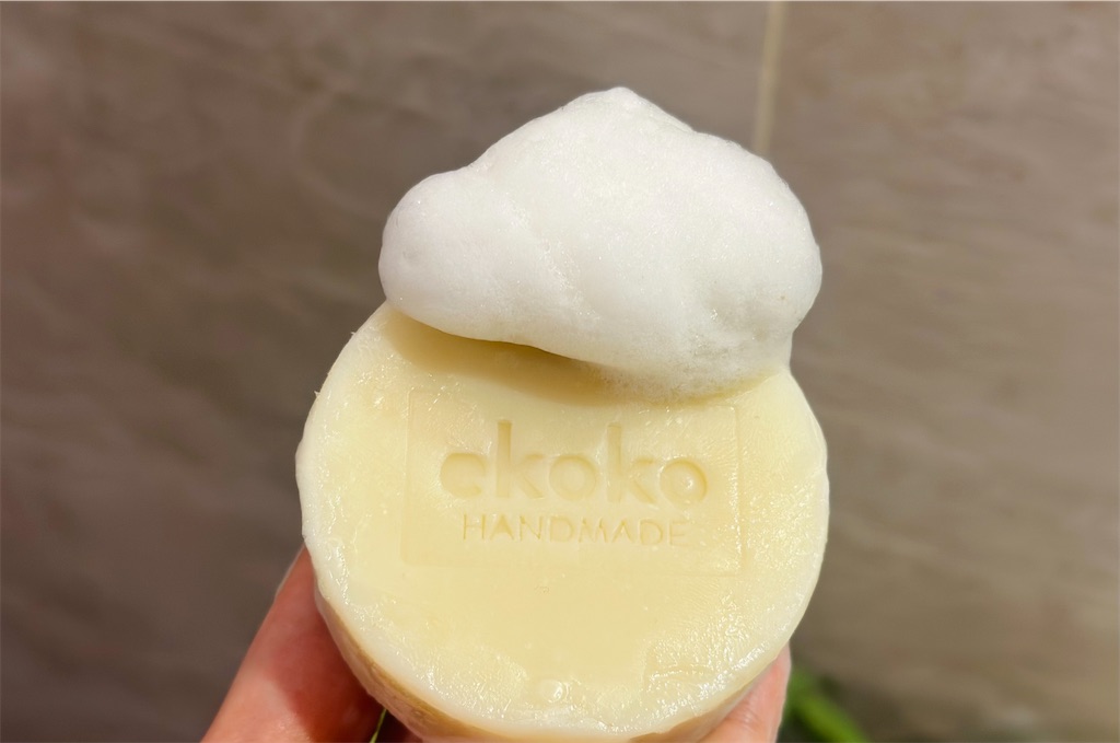 f:id:A-hanoi:20230728165834j:image f:id:A-hanoi:20230728165834j:image