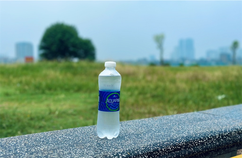 f:id:A-hanoi:20230803230337j:image