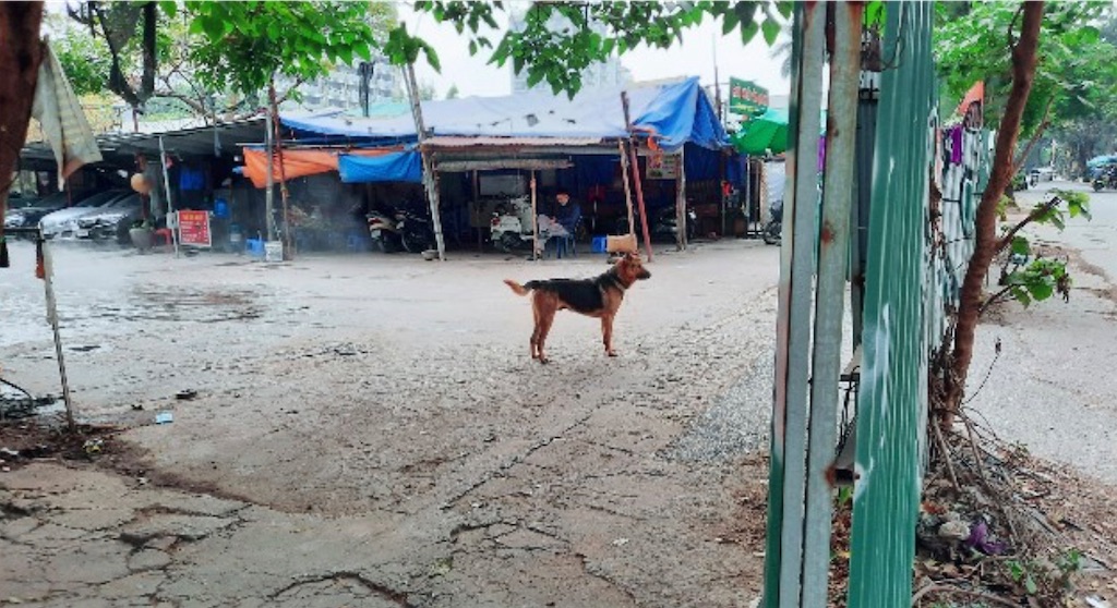 f:id:A-hanoi:20230808172842j:image