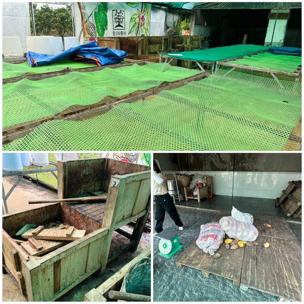 f:id:A-hanoi:20230905183659j:image