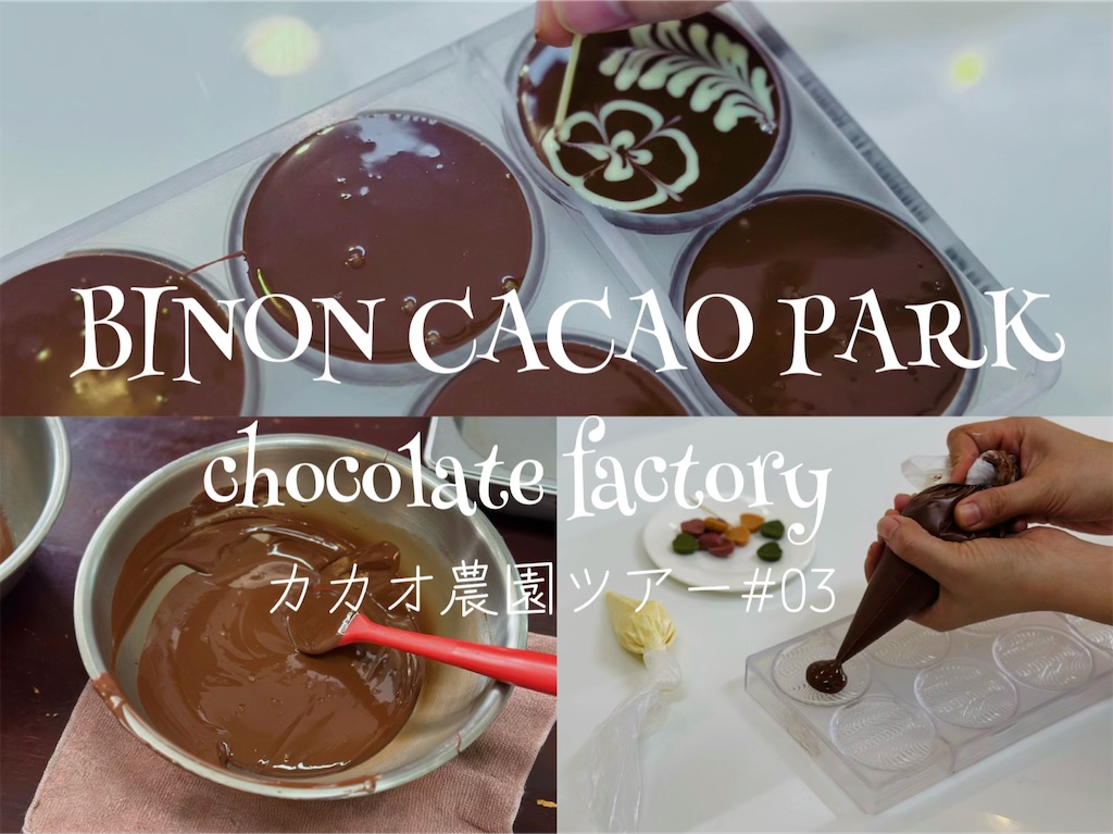 f:id:A-hanoi:20230907231447j:image