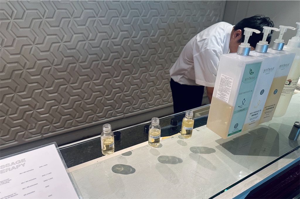 f:id:A-hanoi:20230910183725j:image