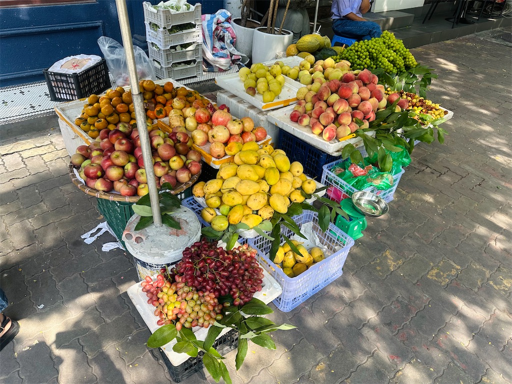 f:id:A-hanoi:20231008174531j:image f:id:A-hanoi:20231008174531j:image