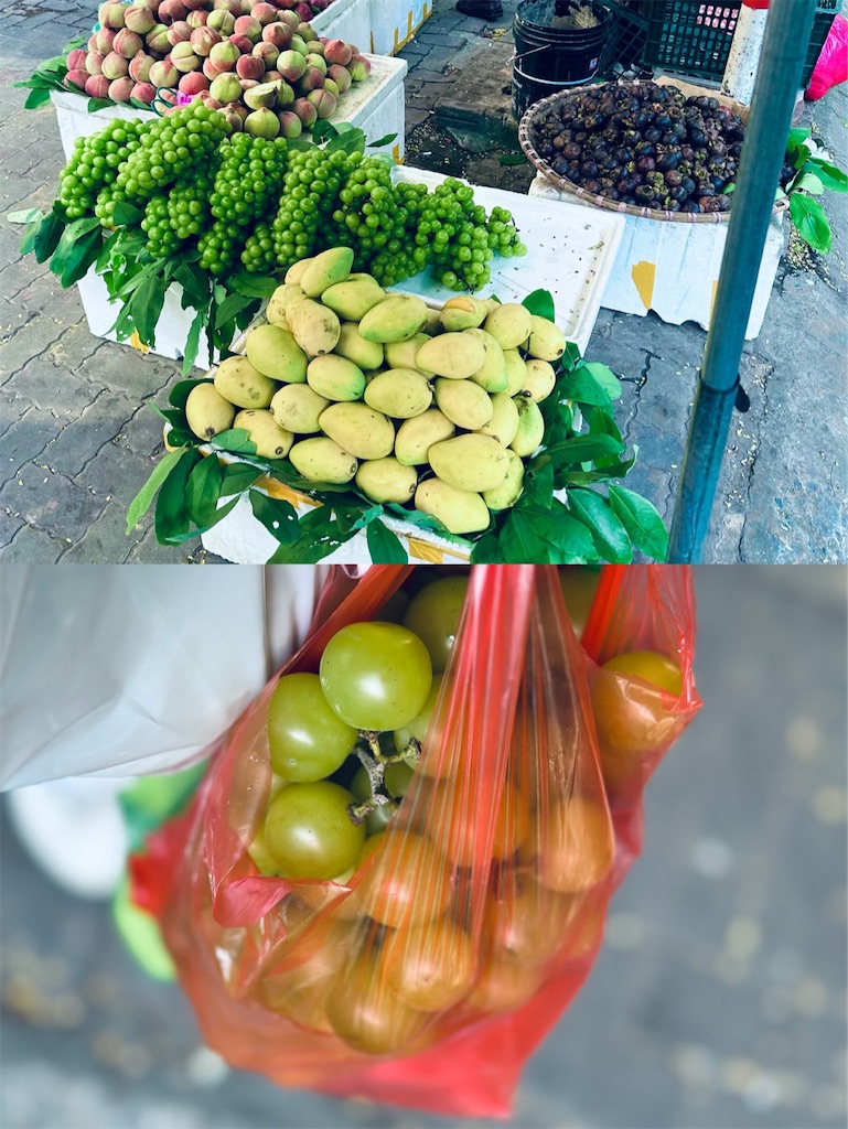 f:id:A-hanoi:20231008180320j:image f:id:A-hanoi:20231008180320j:image
