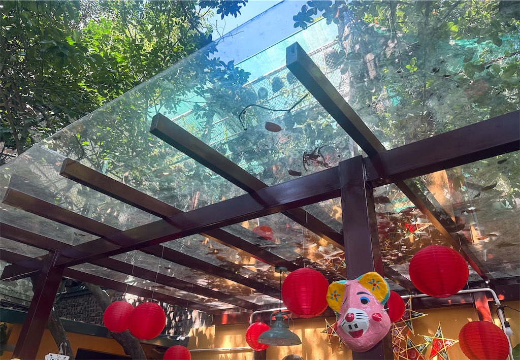 f:id:A-hanoi:20231009183041j:image