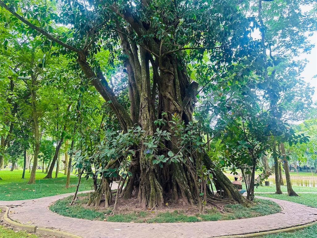 f:id:A-hanoi:20231013141814j:image
