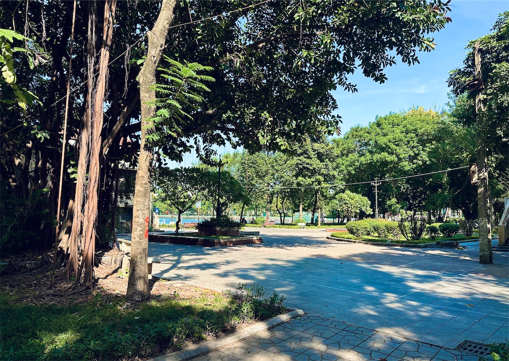 f:id:A-hanoi:20231121133850j:image