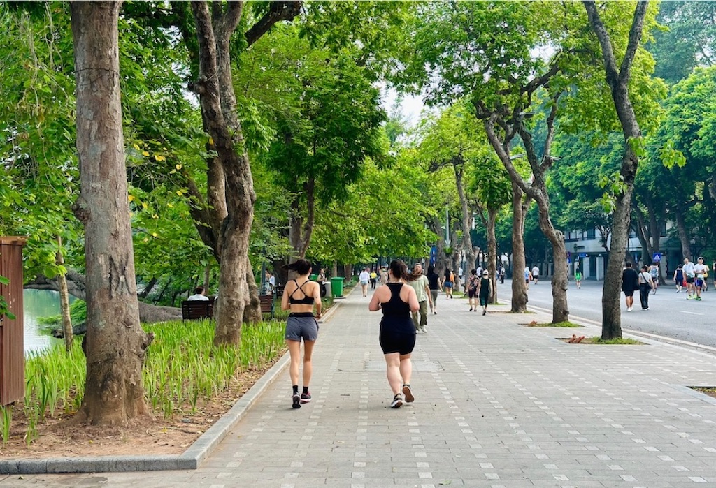 f:id:A-hanoi:20231128084545j:image