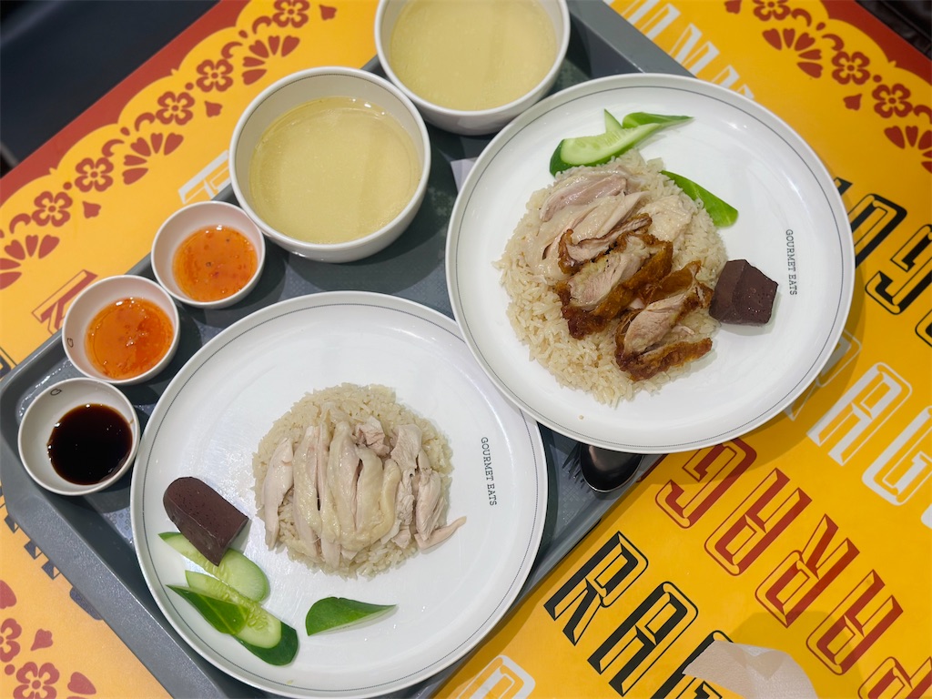 f:id:A-hanoi:20231128140400j:image