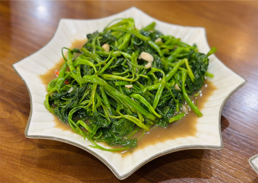 f:id:A-hanoi:20240105123303j:image