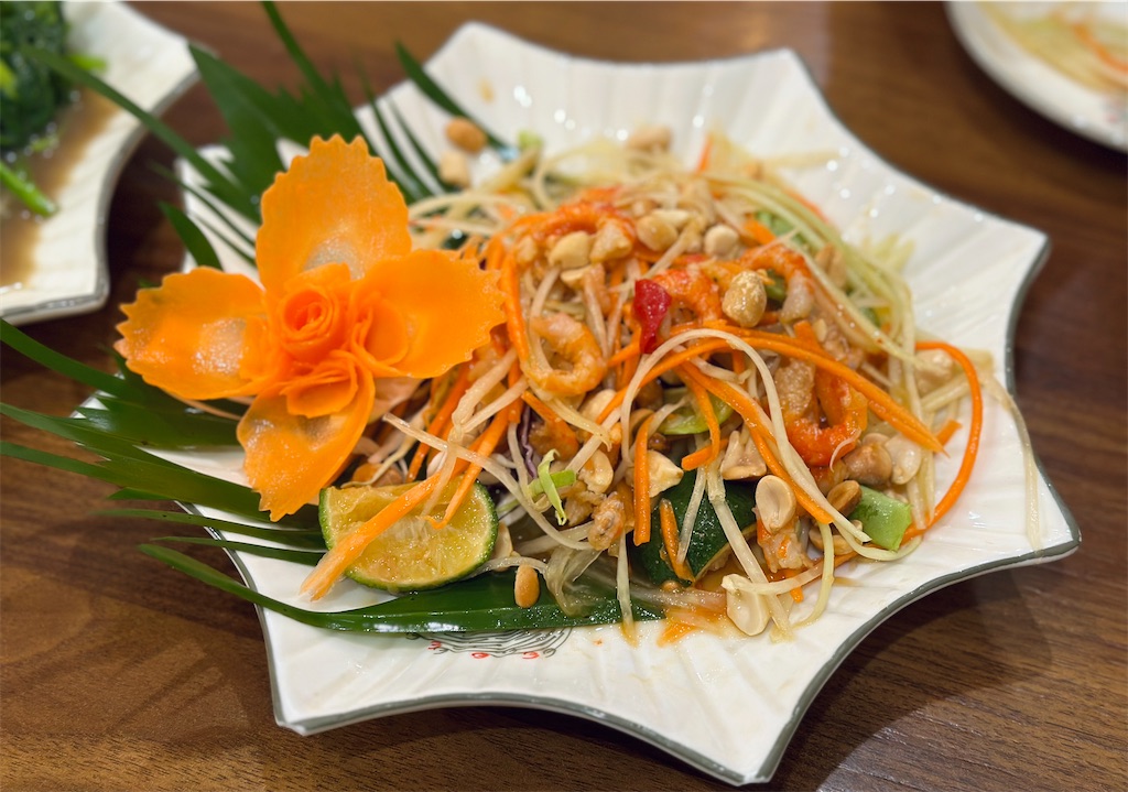 f:id:A-hanoi:20240105123603j:image