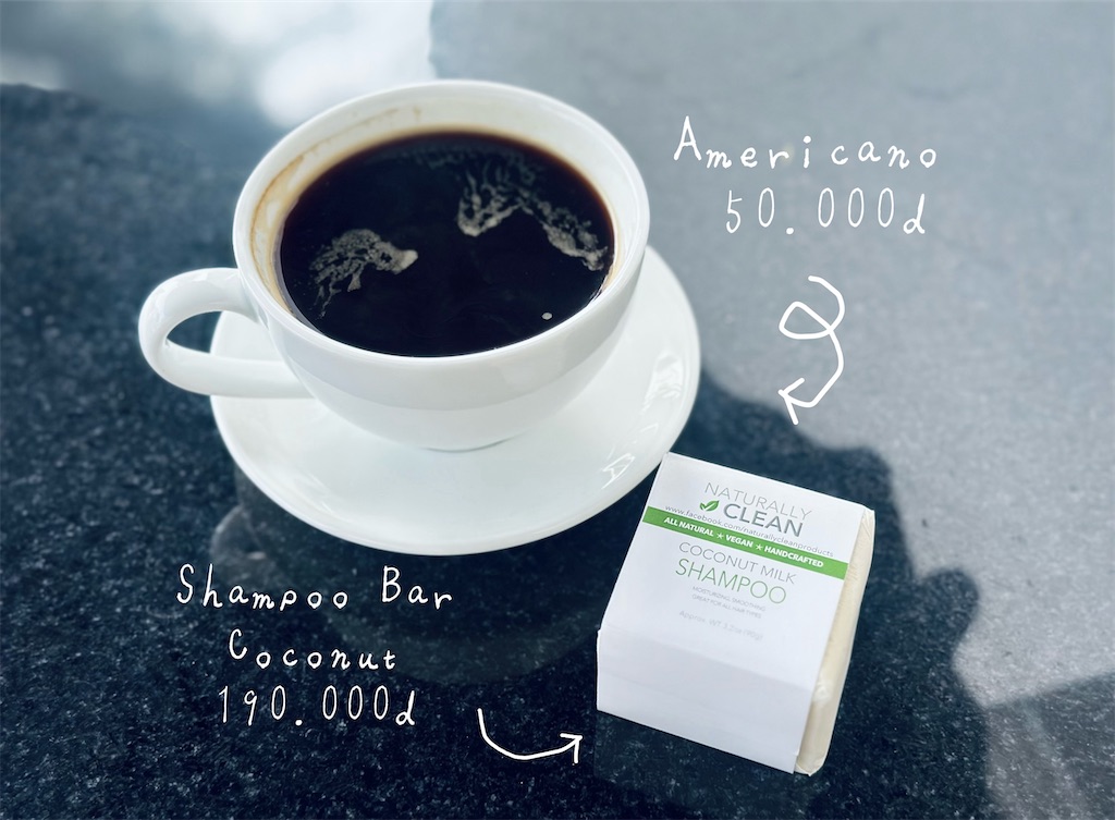 f:id:A-hanoi:20240105134431j:image