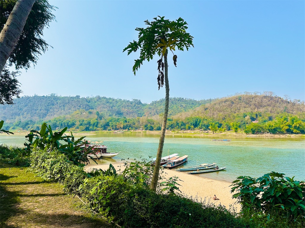 f:id:A-hanoi:20240217151120j:image