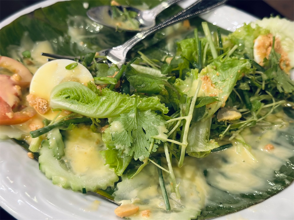 f:id:A-hanoi:20240217215302j:image