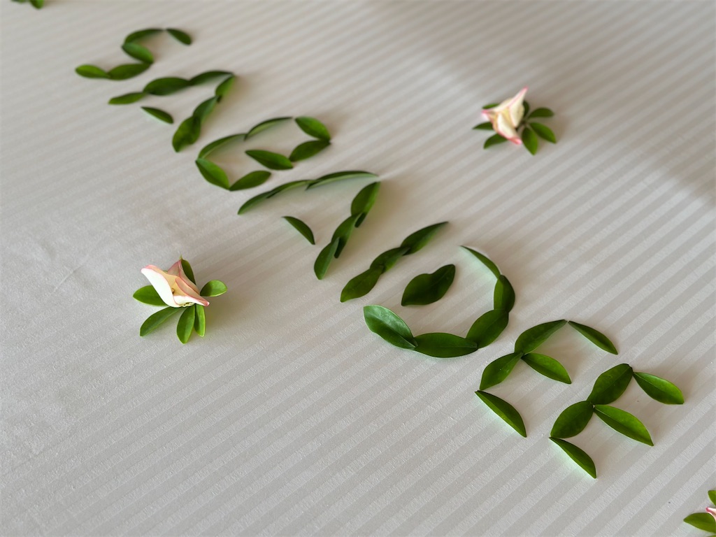 f:id:A-hanoi:20240218114149j:image