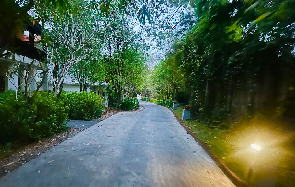 f:id:A-hanoi:20240225133748j:image f:id:A-hanoi:20240225133748j:image